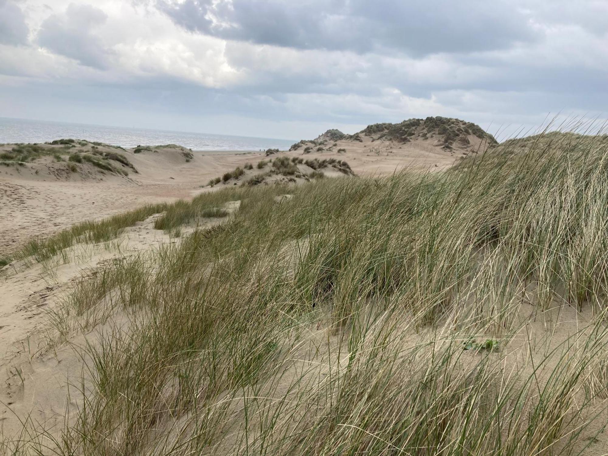 Willa Terduinen Oostduinkerke Zewnętrze zdjęcie